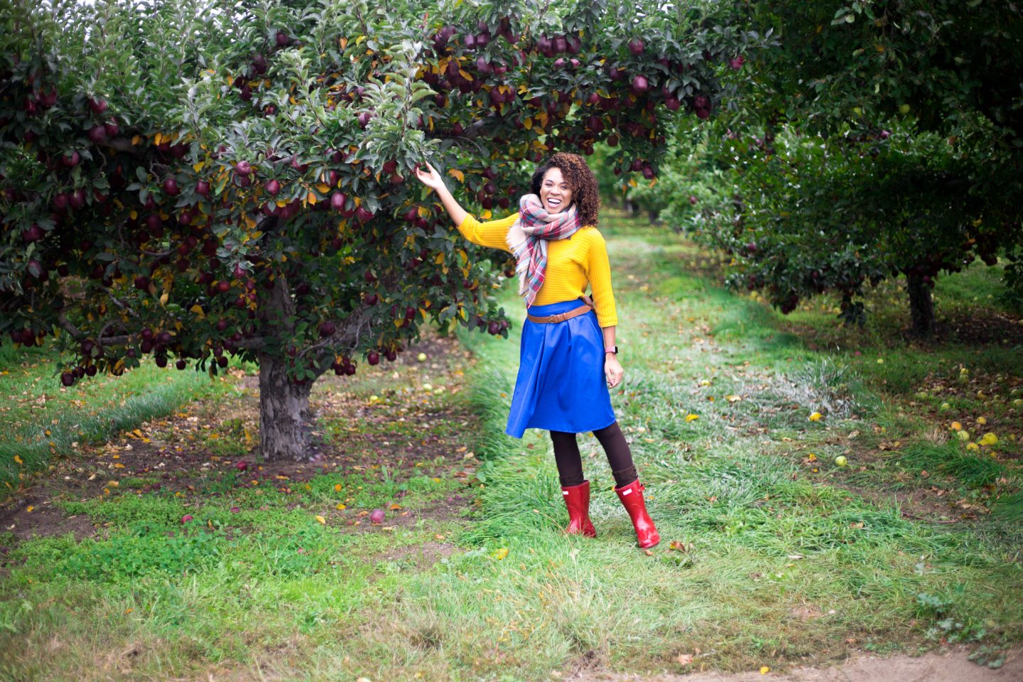 Cosmic Crisp – Washington apple orchard tour
