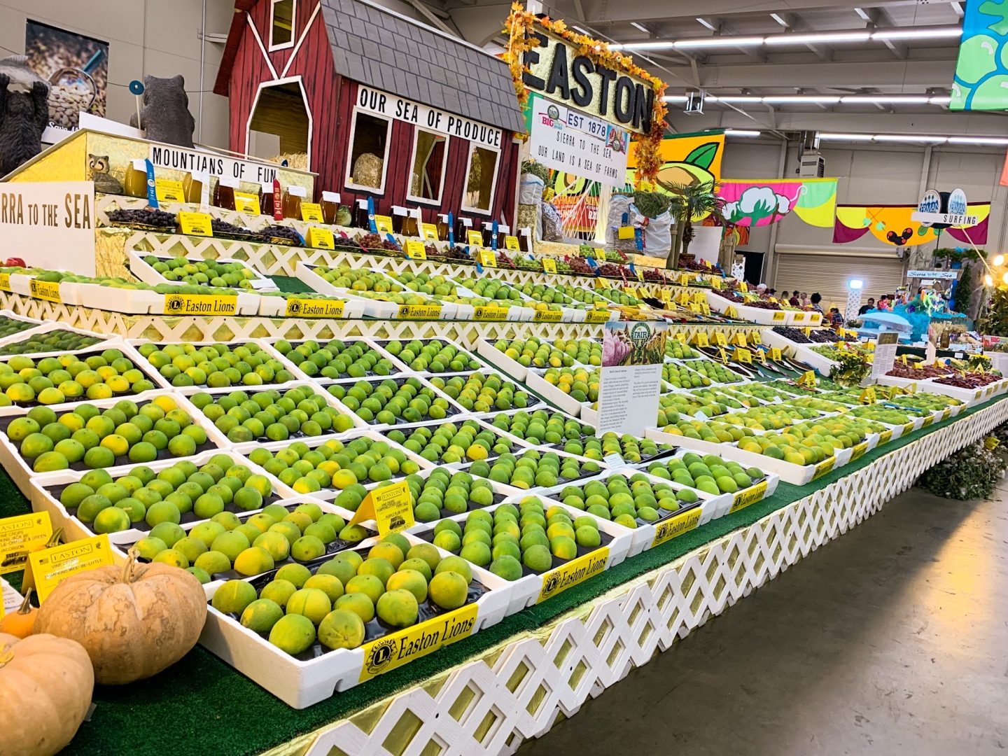 things to do at the Fresno Fair